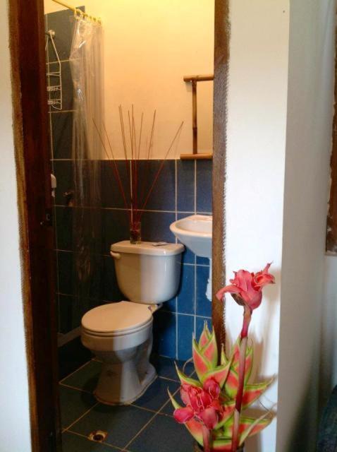 Hosteria Mindo Samay Juku Εξωτερικό φωτογραφία